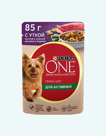 Корм для взрослых собак PURINA ONE 