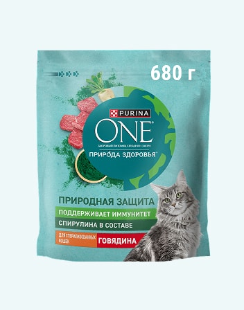 Корм сухой для взрослых кошек PURINA ONE 