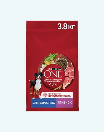 Корм сухой для взрослых собак PURINA ONE 